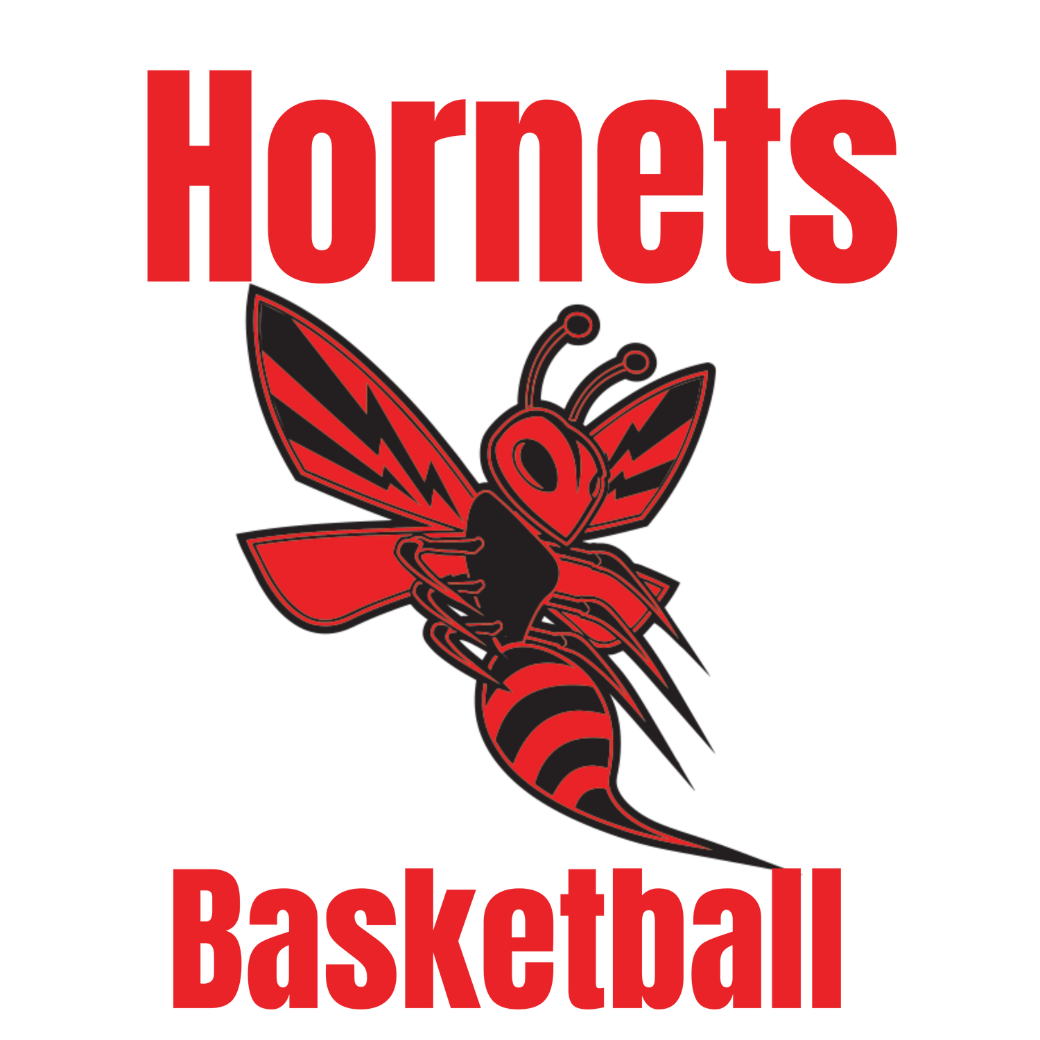 Hornets Basketball