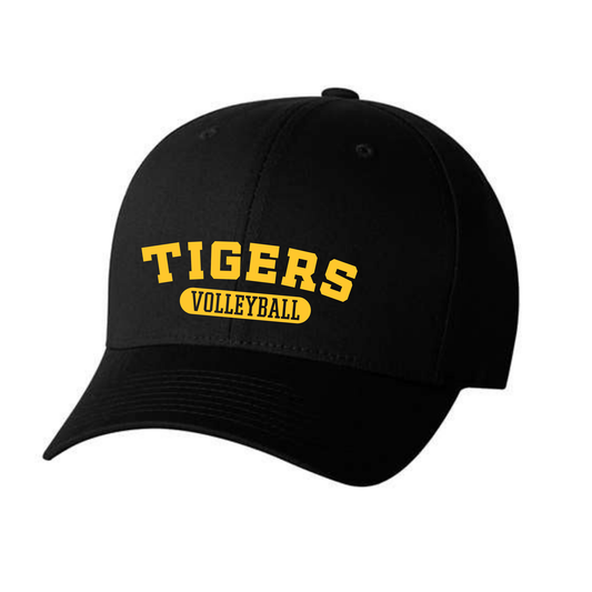 Tigers Volleyball Simplicity Richardson Snap Back Cap